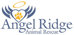 Angel Ridge Animal Rescue